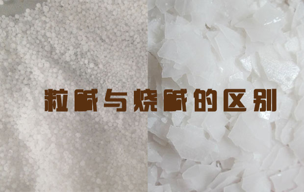 烧碱与粒碱的区别有哪些